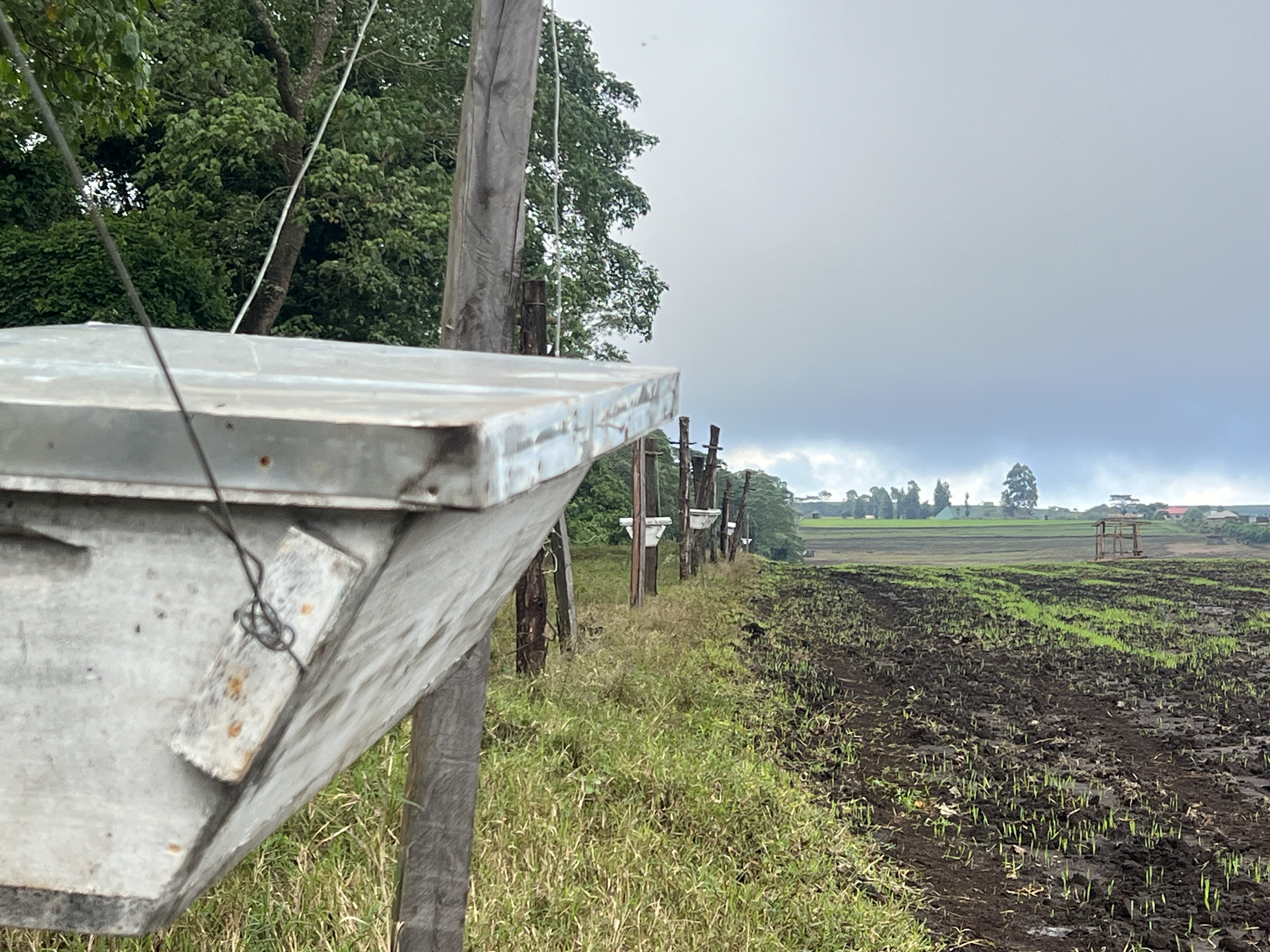 bee hive fence in Tanzania