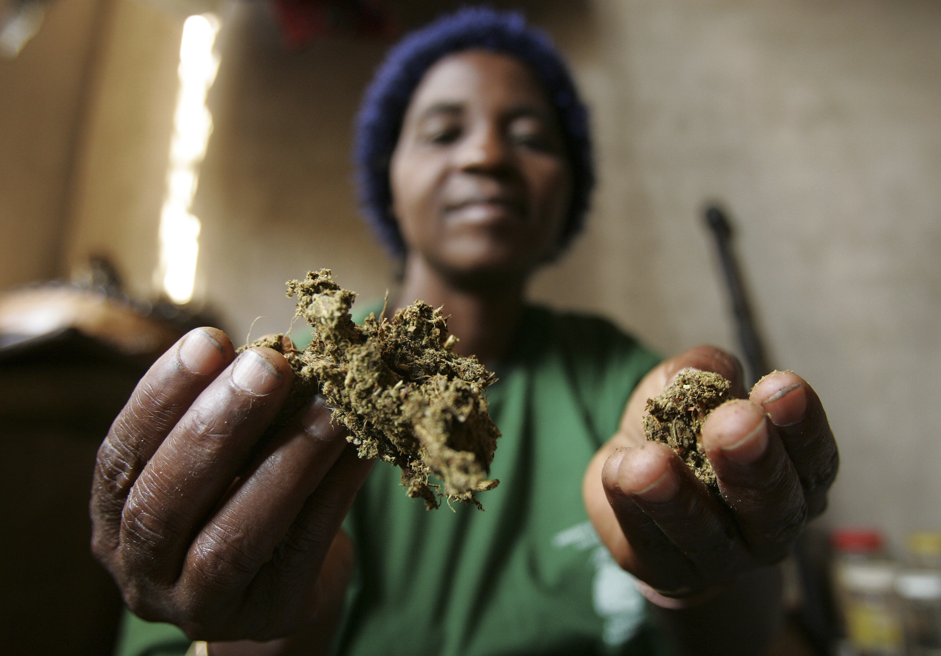 A Zimbabwean traditional healer