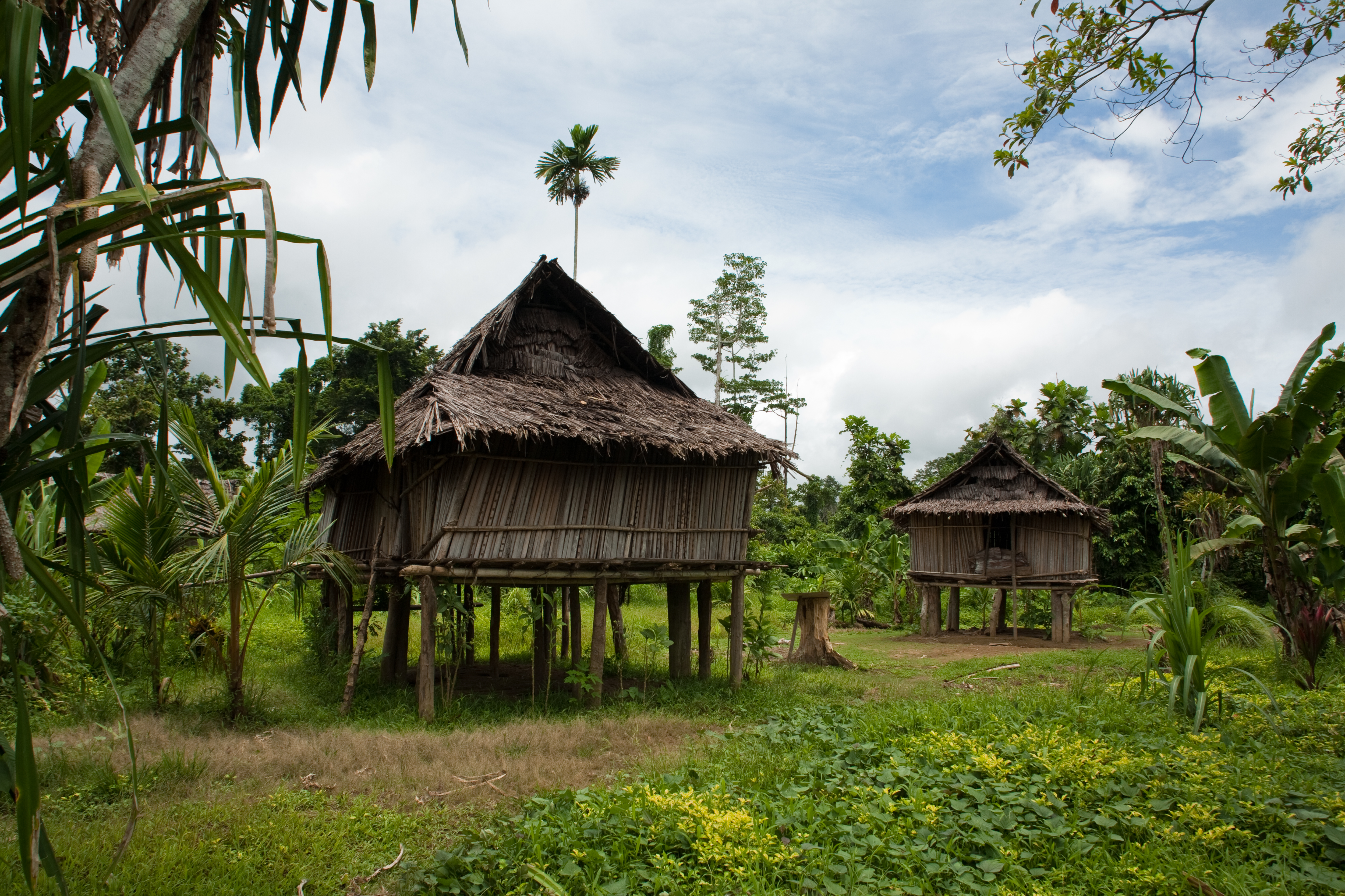 Typical homes along the Arafundi river in the Sepik Region of Papua New Guinea