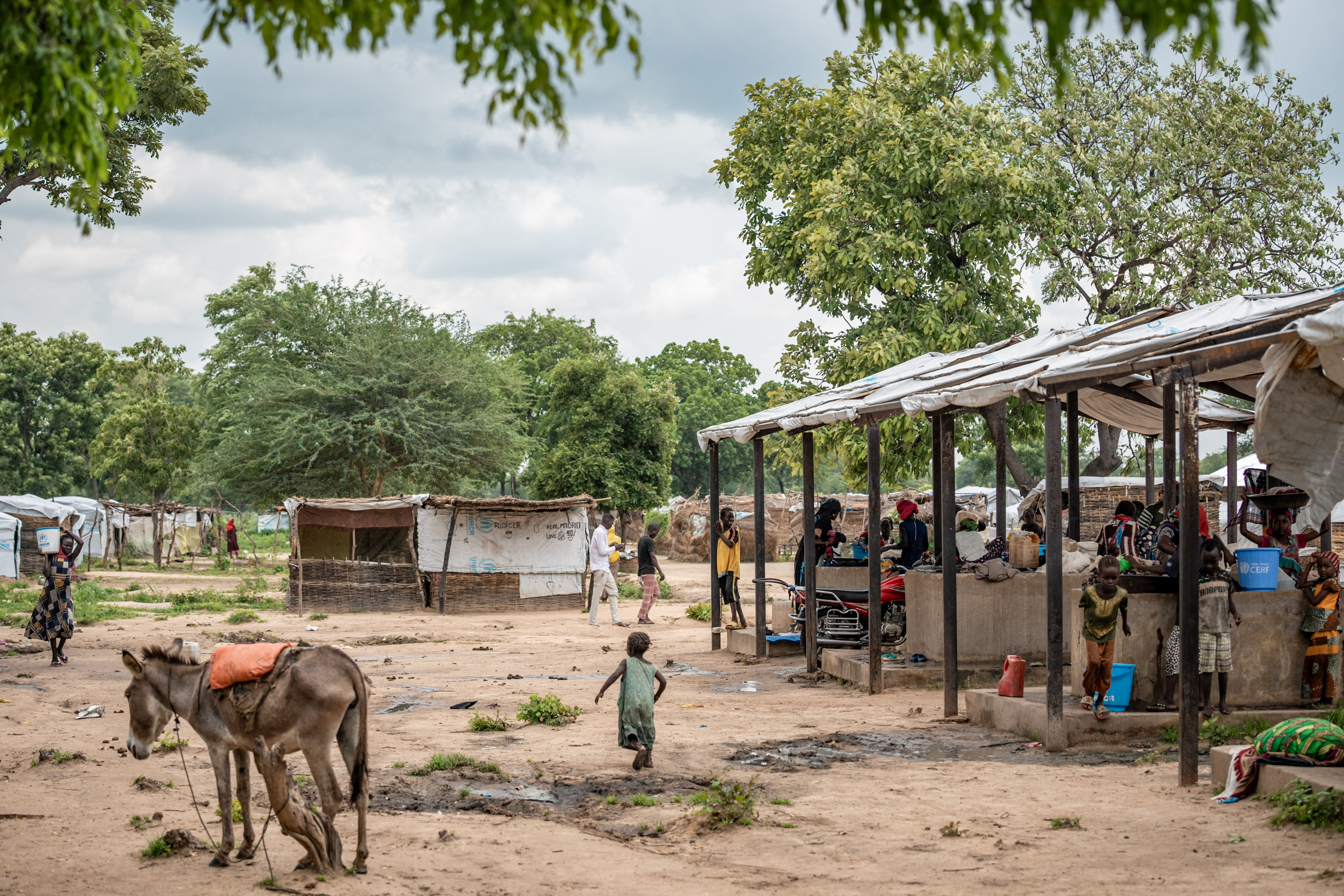 War-ravaged Sudan battles cholera epidemic