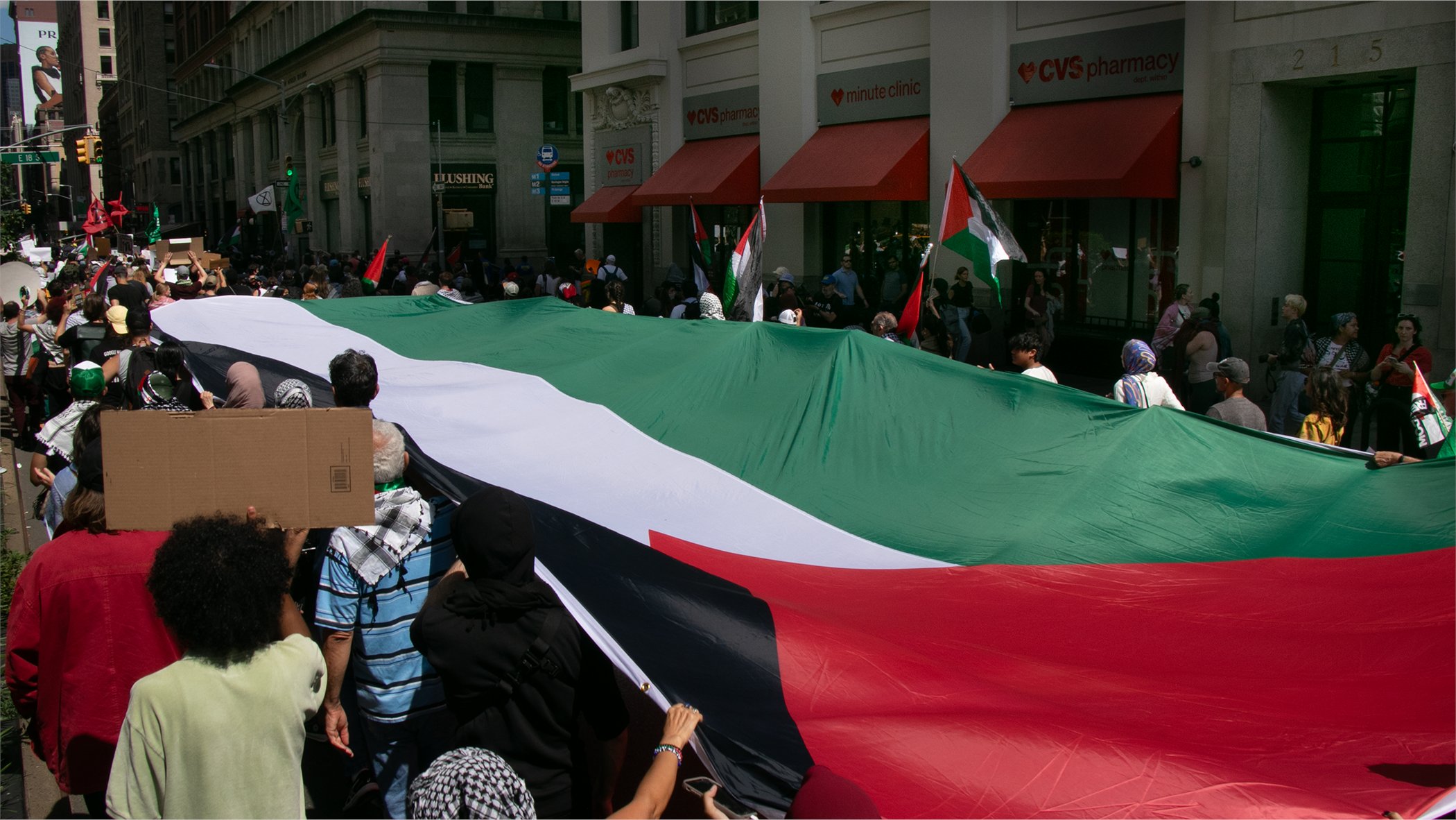 Protesters carry a large Palestinian flag outside in New York City