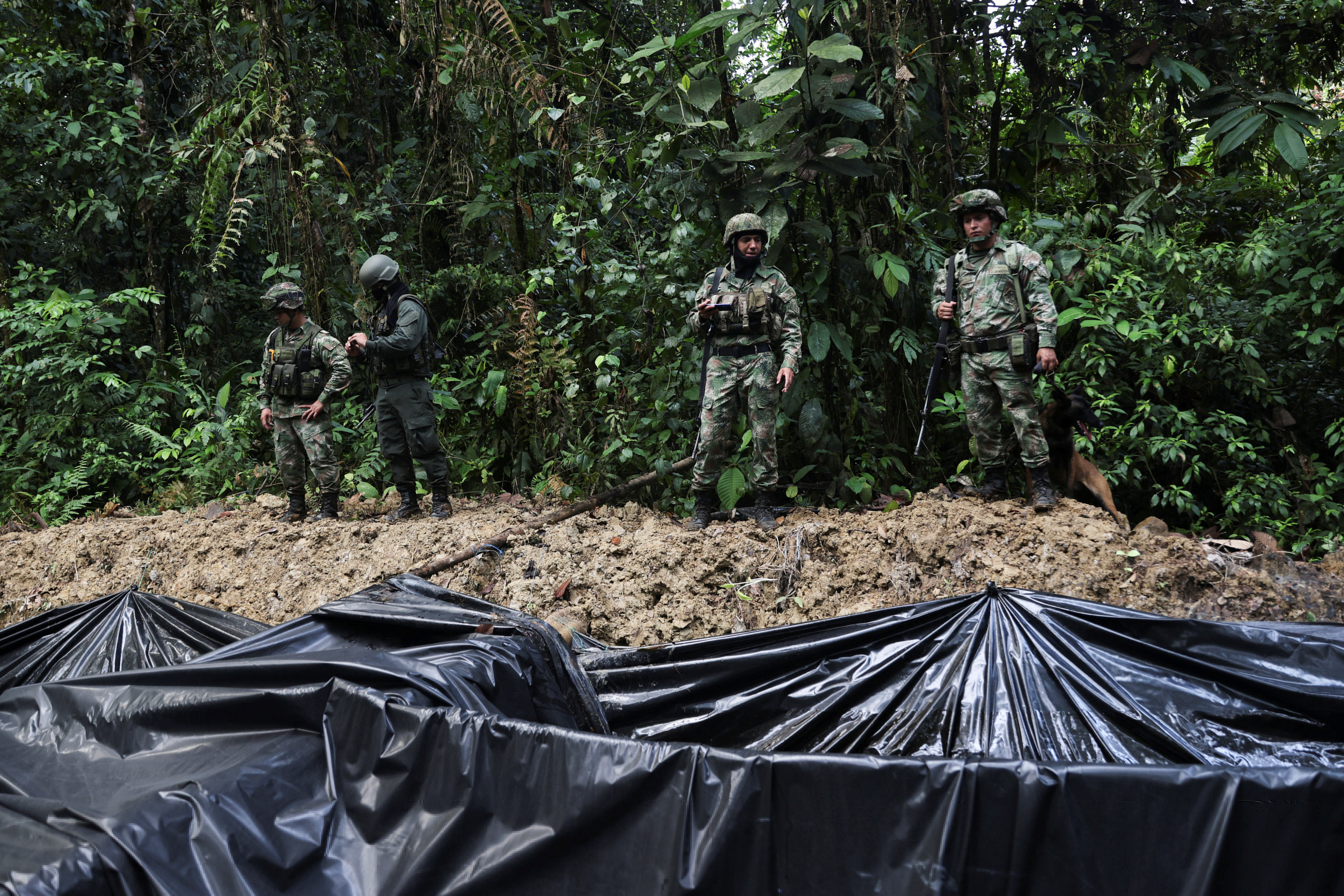 Colombian soldiers in fatigues stand above a ditch covered in black plastic tarp