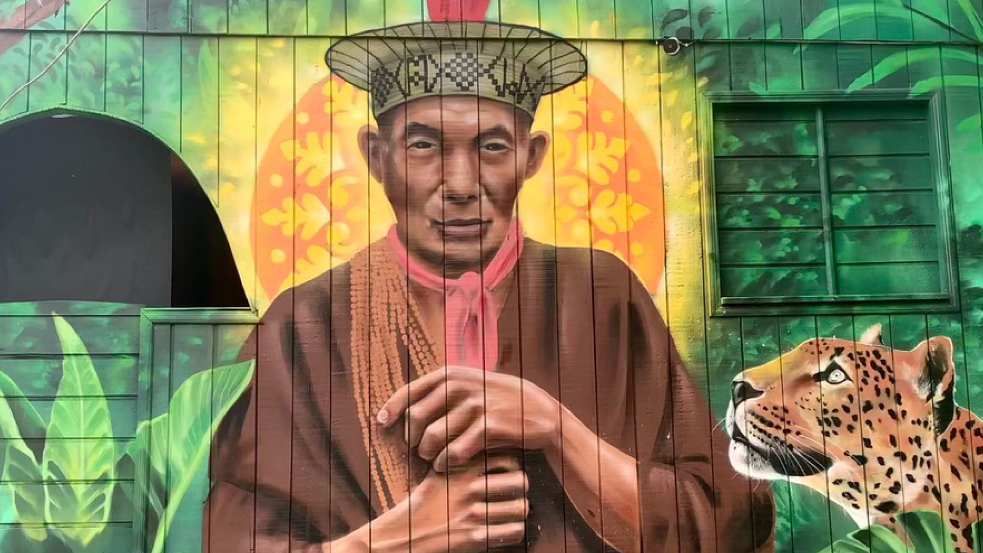 Message from the Amazon