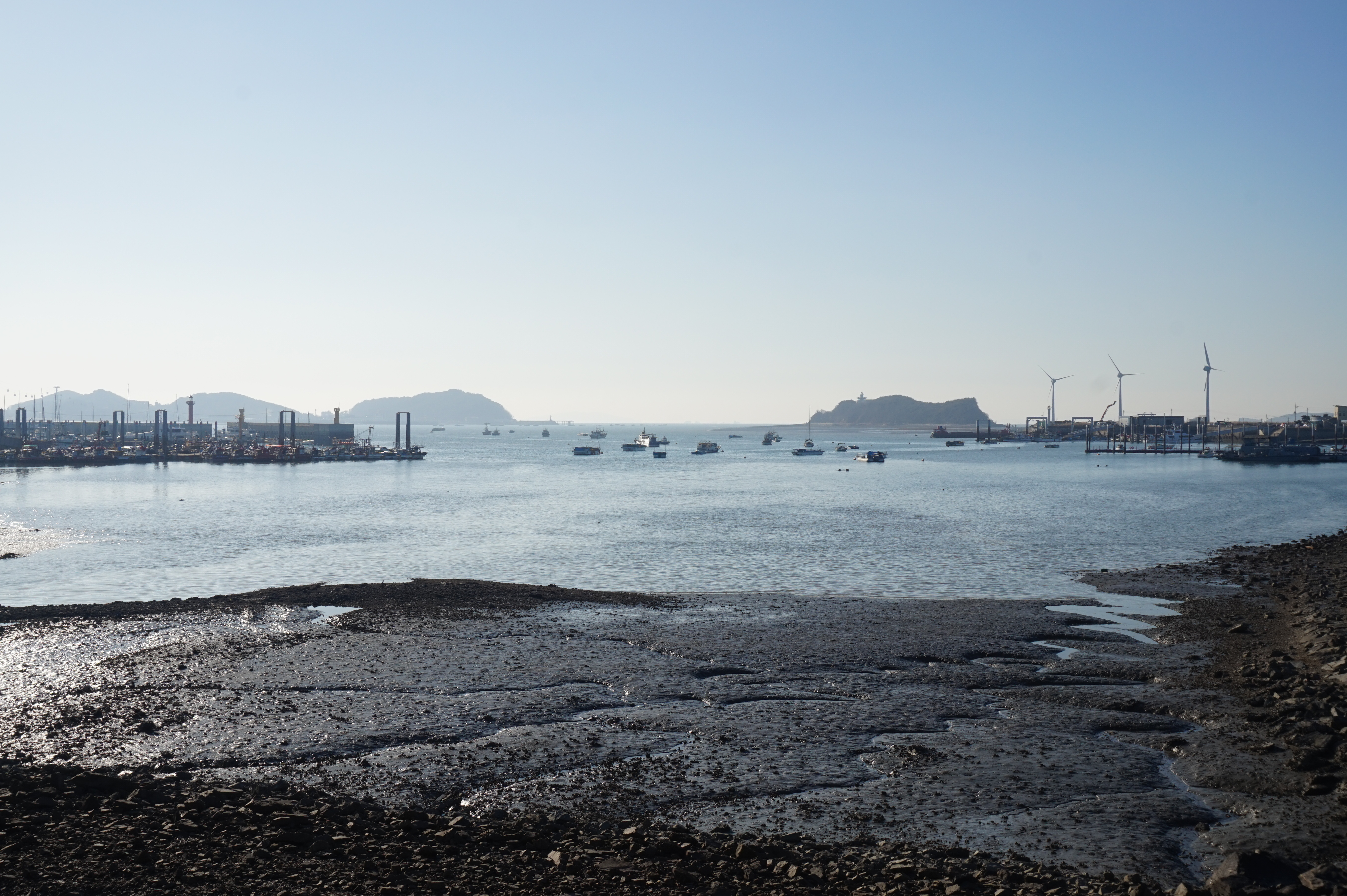 The swamps of Seon-gam Island (2)-1740040067