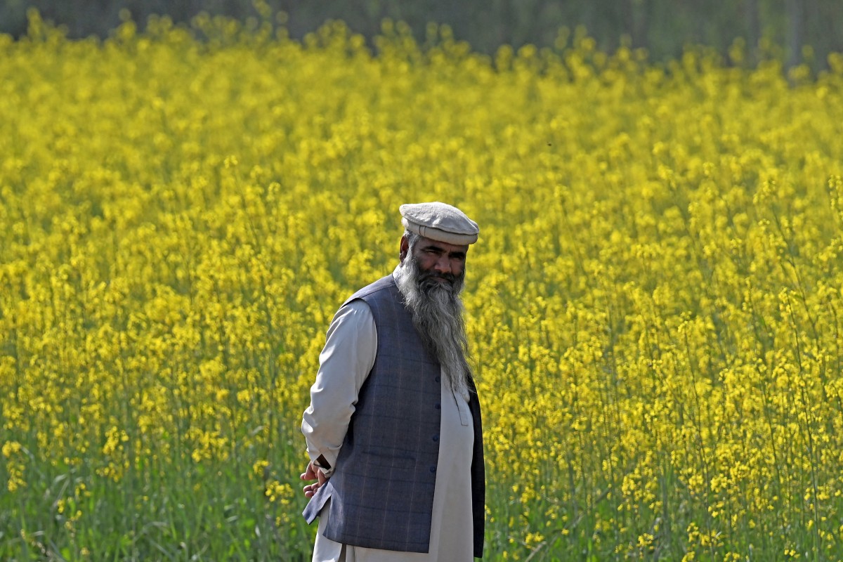 Pakistan beekeepers widen pursuit of flowers