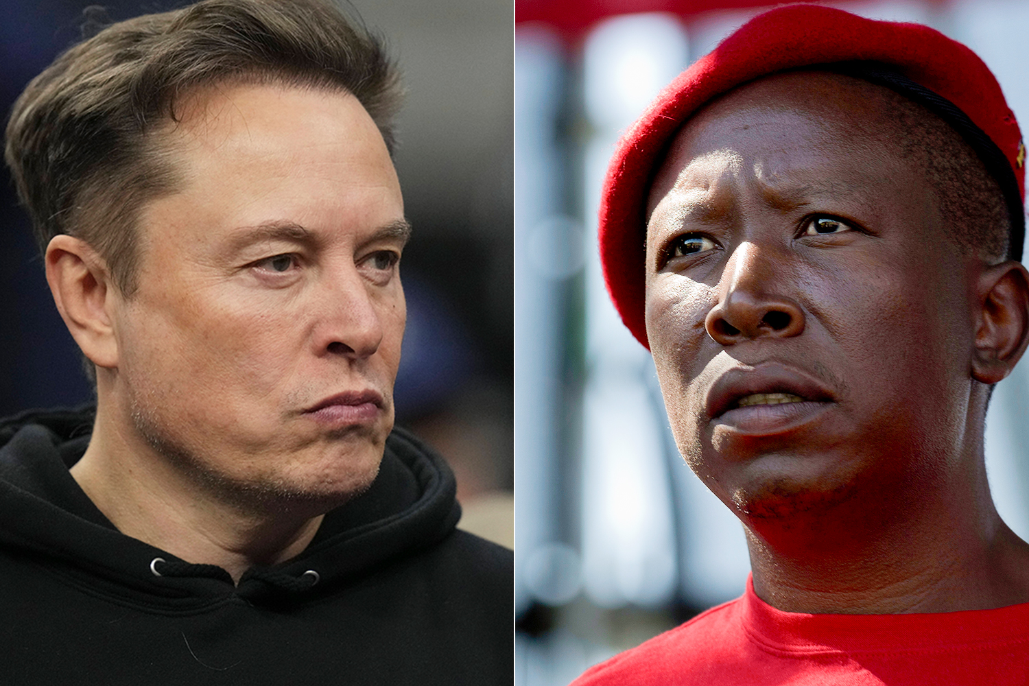 Elon Musk and Julius Malema [AP Photo]
