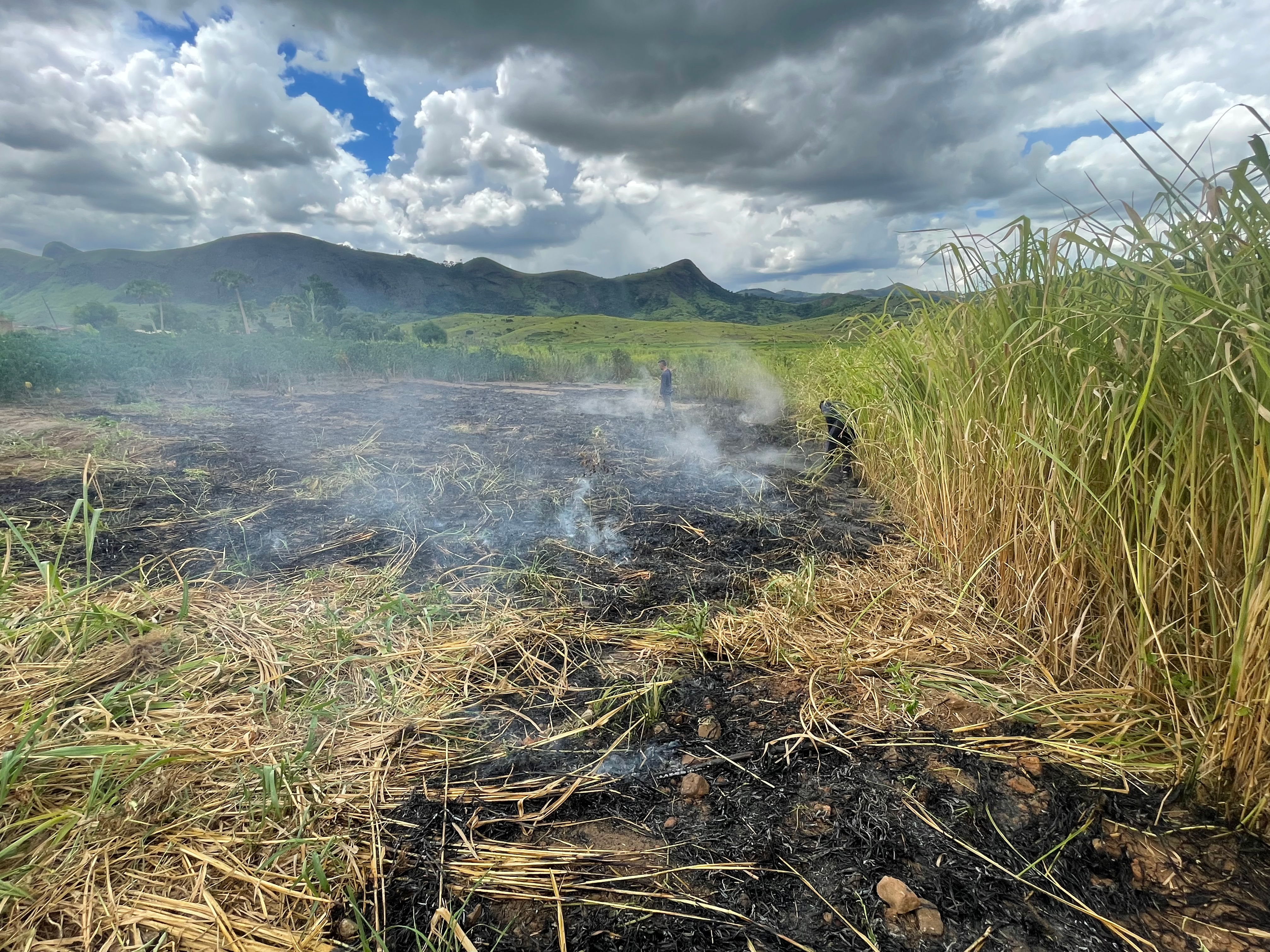Grass smolders and burns in the rolling hills of Minas Gerais.