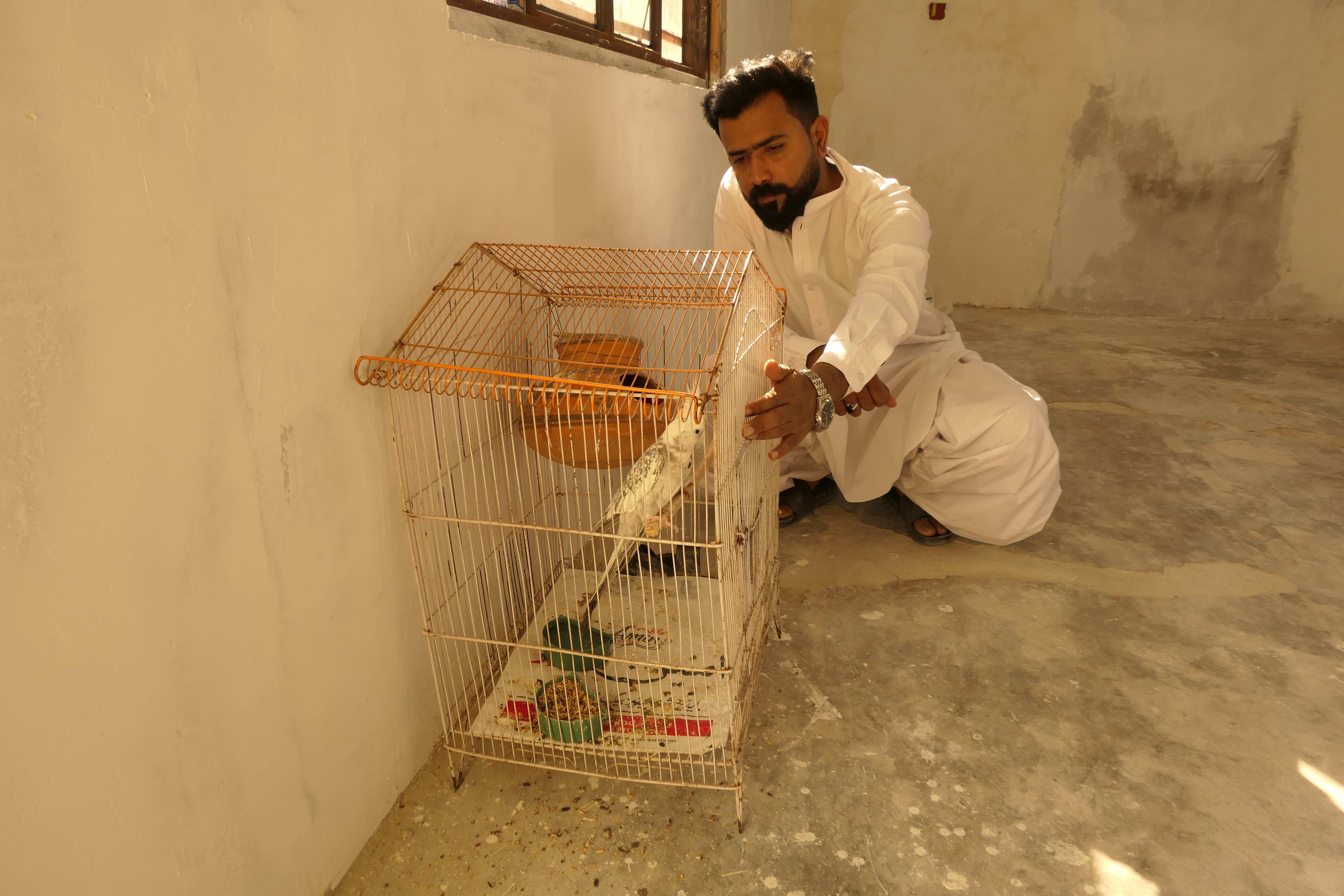 Saad at home after being rescued by the Pakistani military, playing with a pet bird [Saadullah Akhter/ Al Jazeera]