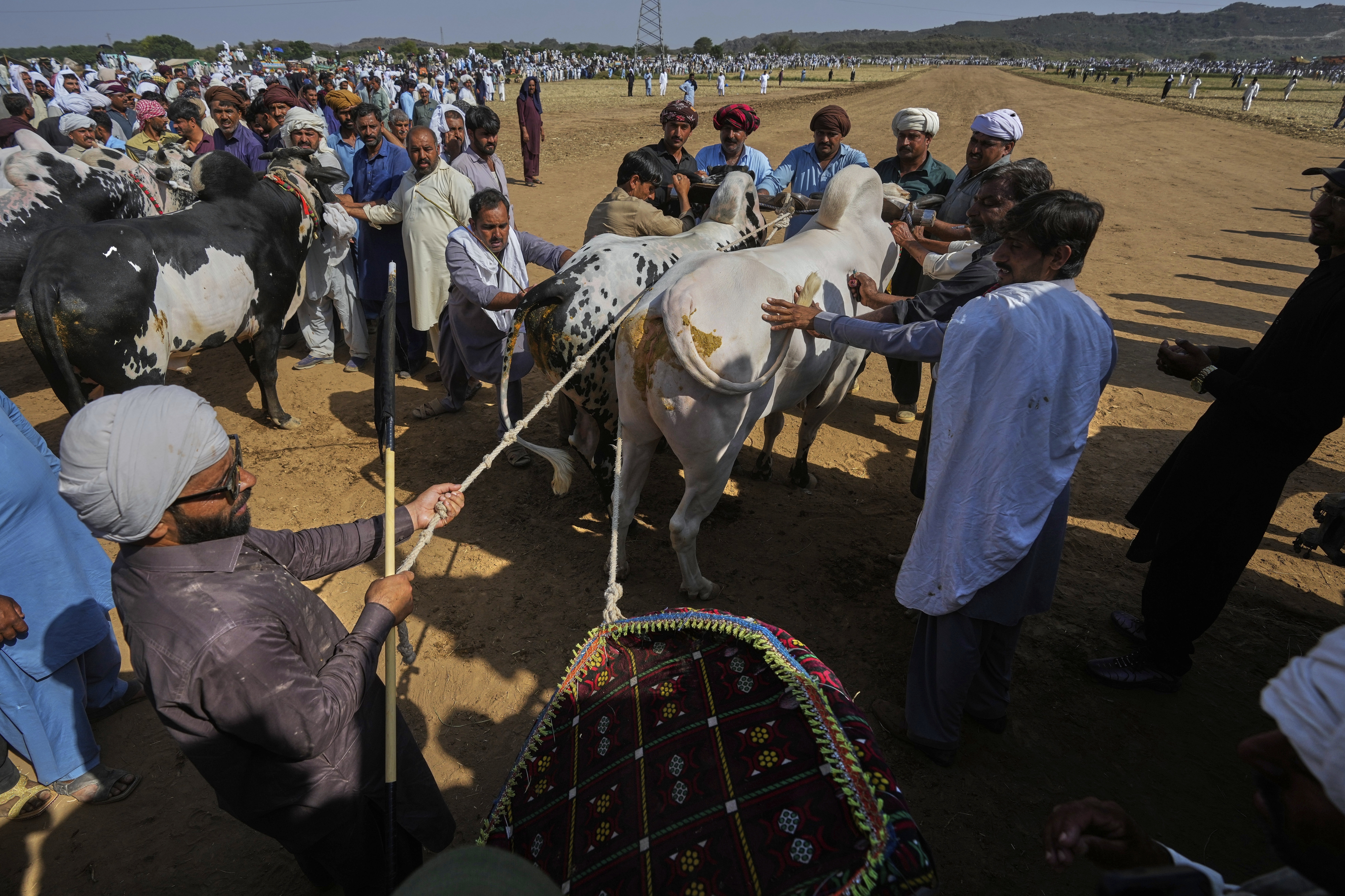 Pakistan Bull Racing