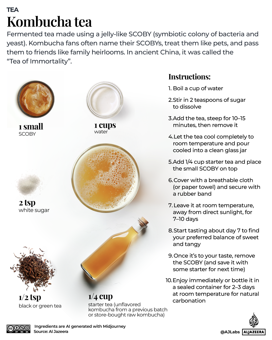 INTERACTIVE_TEA_DAY_KOMBUCHA TEA_MAY20_2025-1747750378