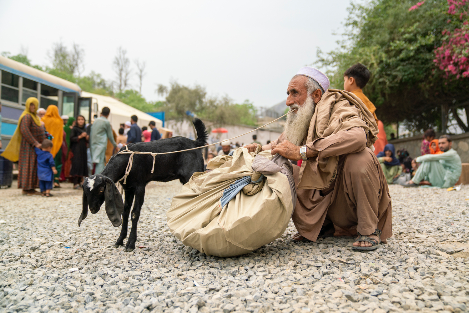 Afghan returnees face dire challenges amid deepening humanitarian crisis
