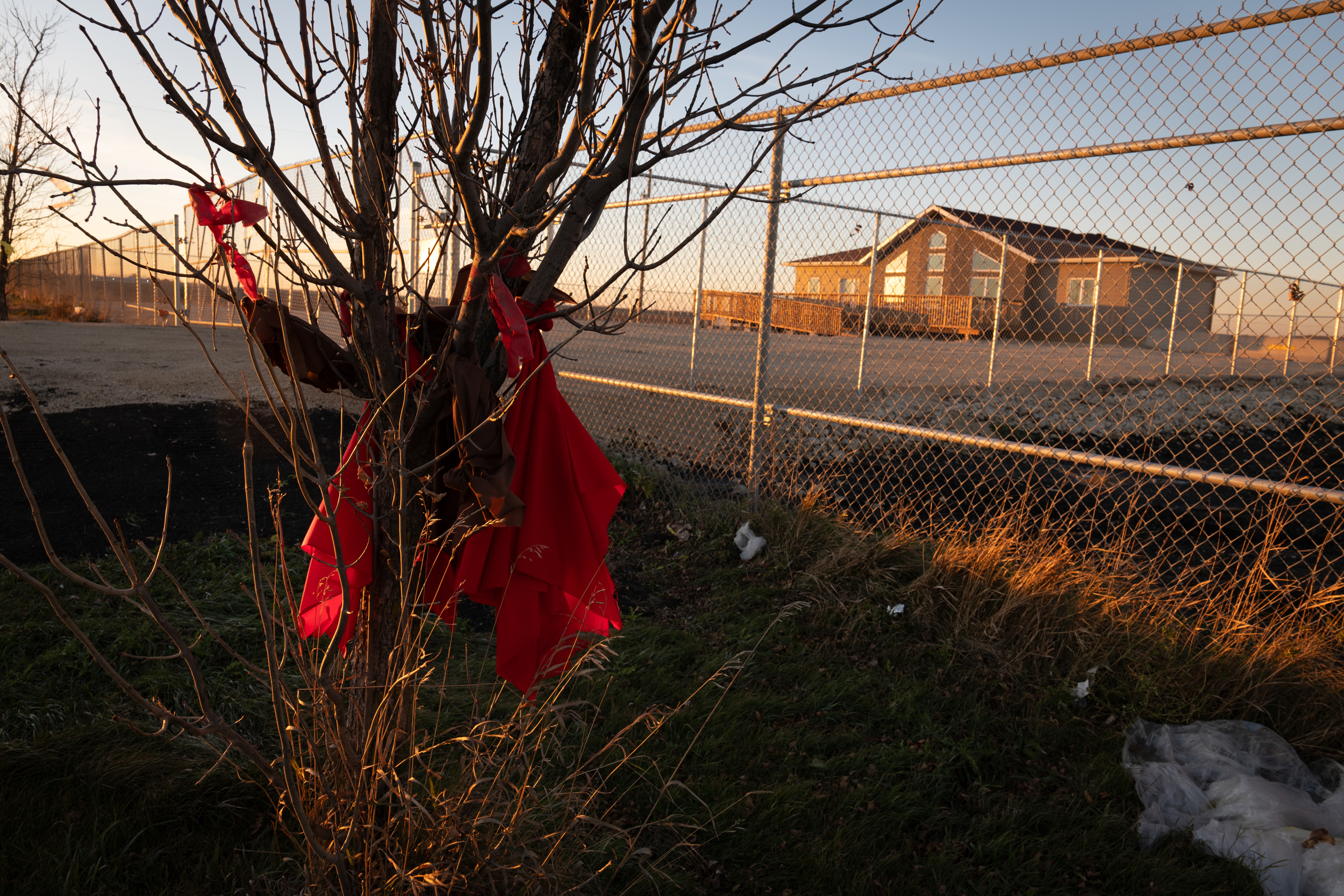 Pieces of red fabric hang from a tree in front of a barbed wire fence