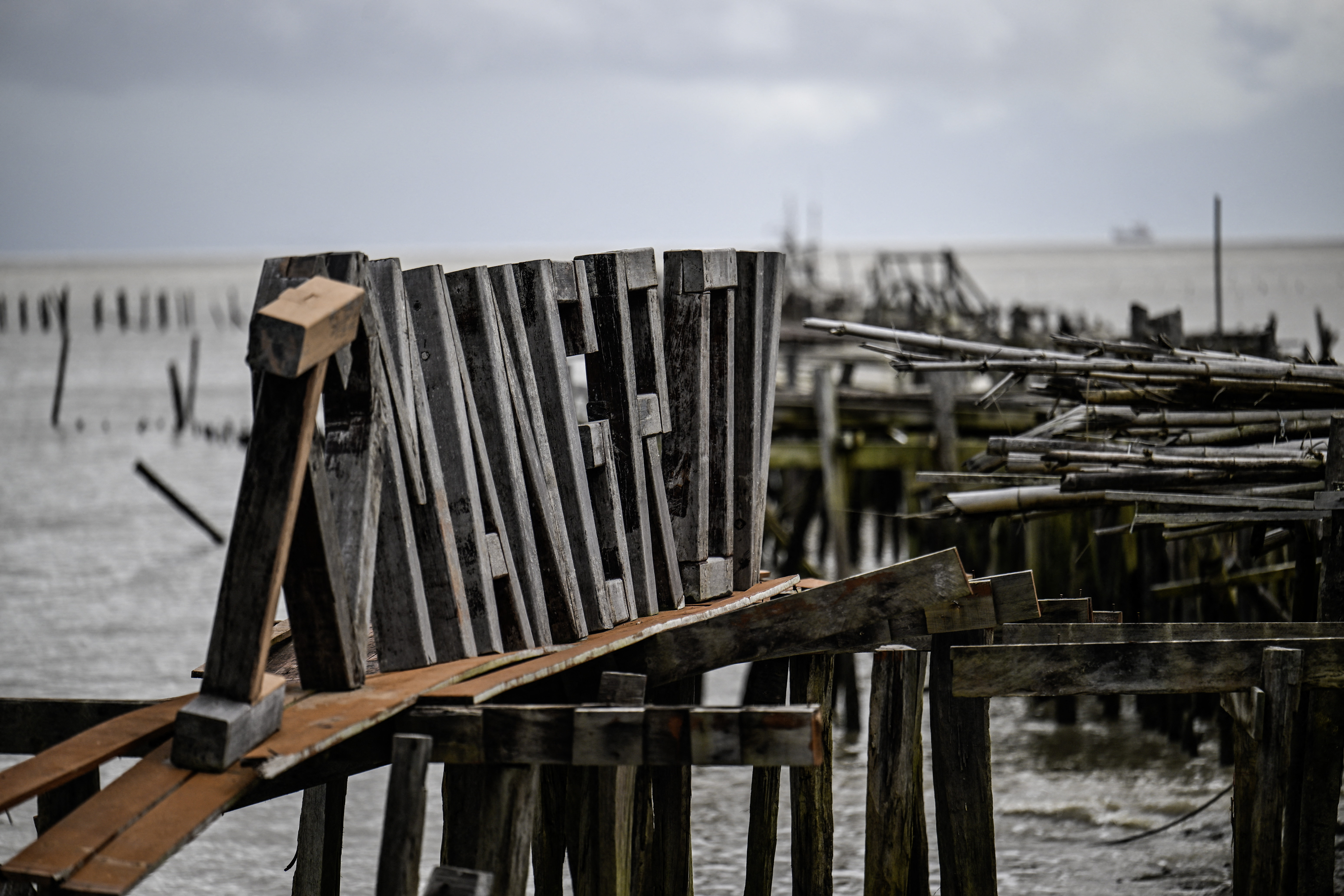 'Every day I see land disappear': Suriname's battle to keep sea at bay