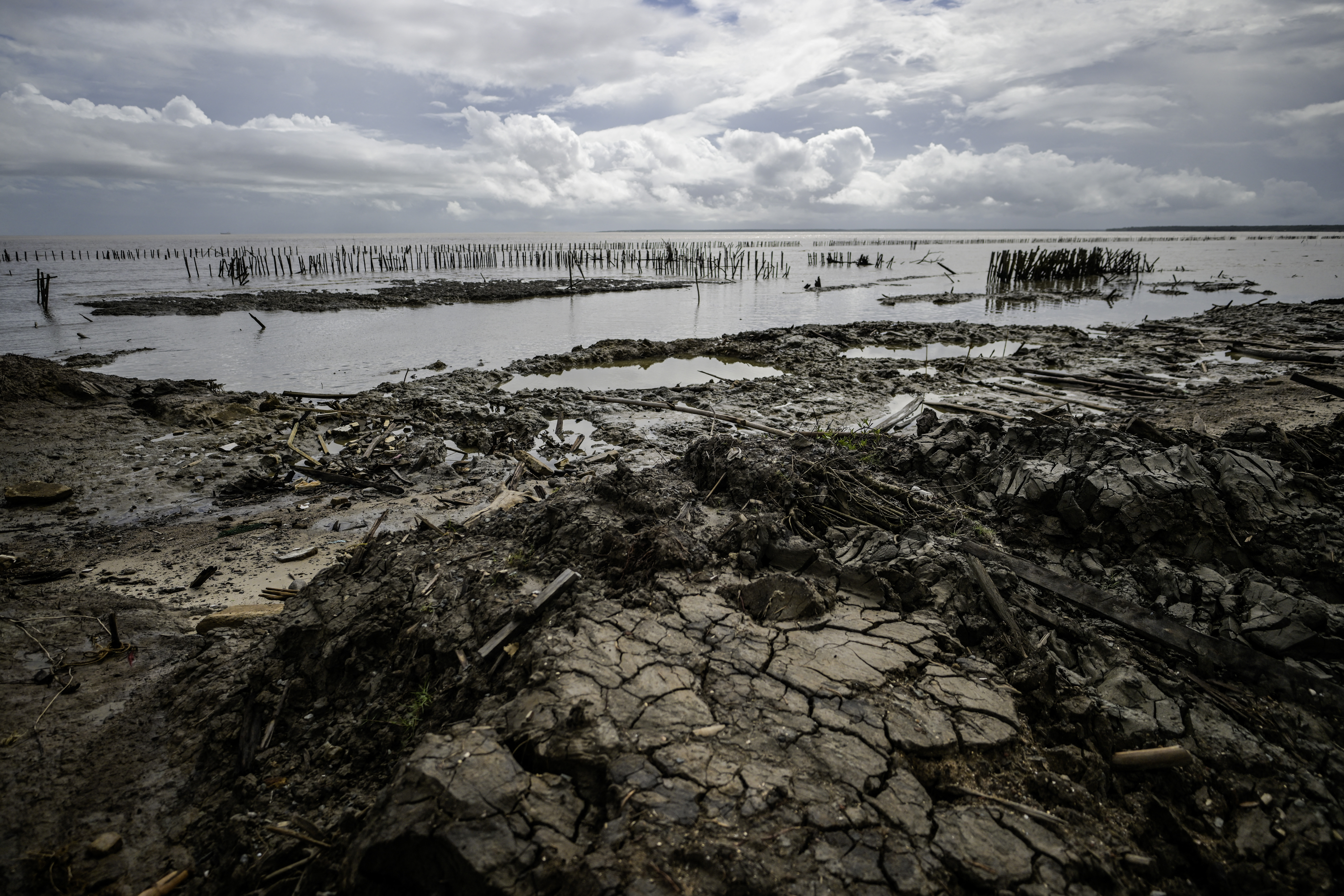 'Every day I see land disappear': Suriname's battle to keep sea at bay