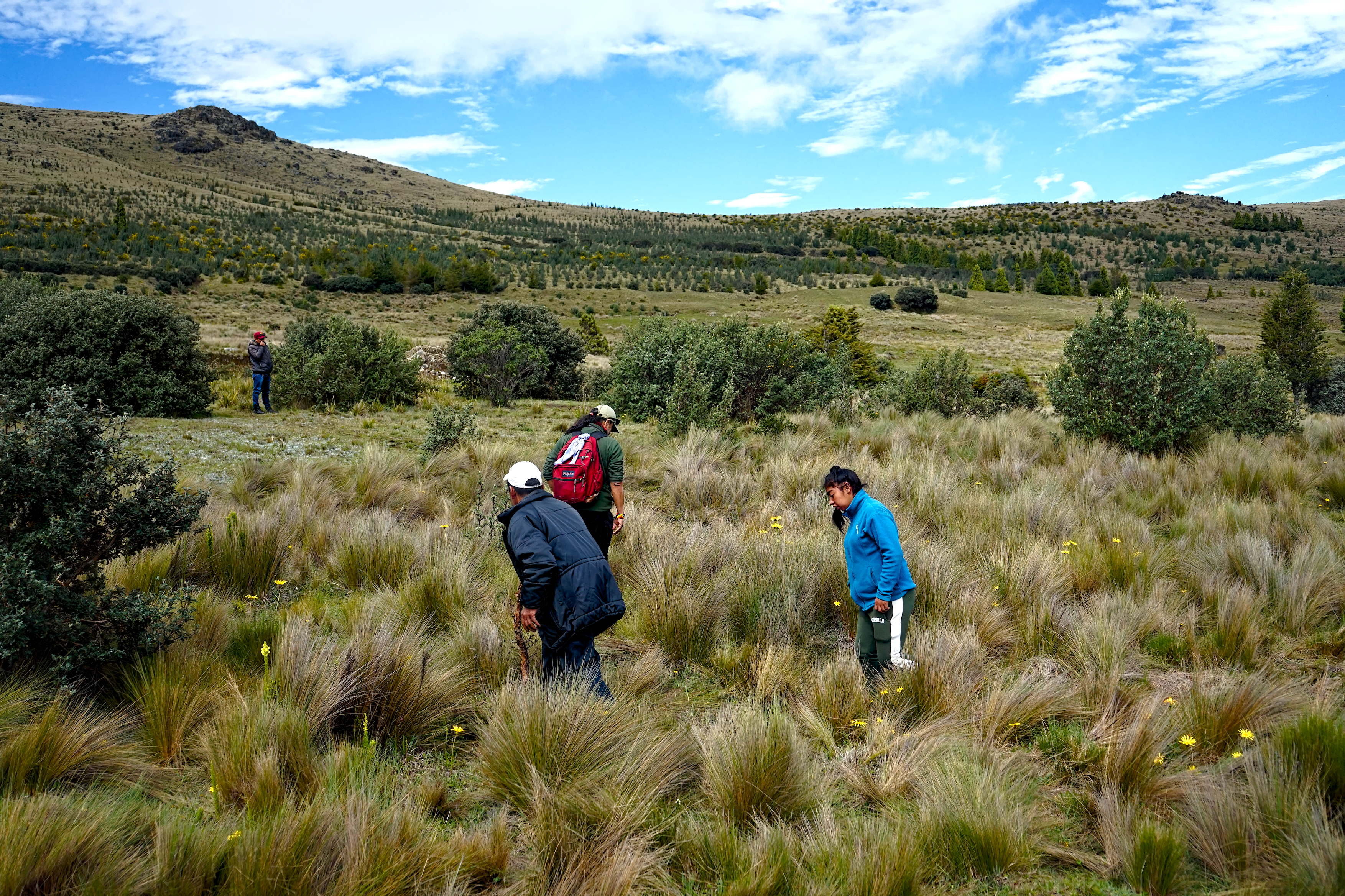 Activists walk through the highland wetlands in Ecuador