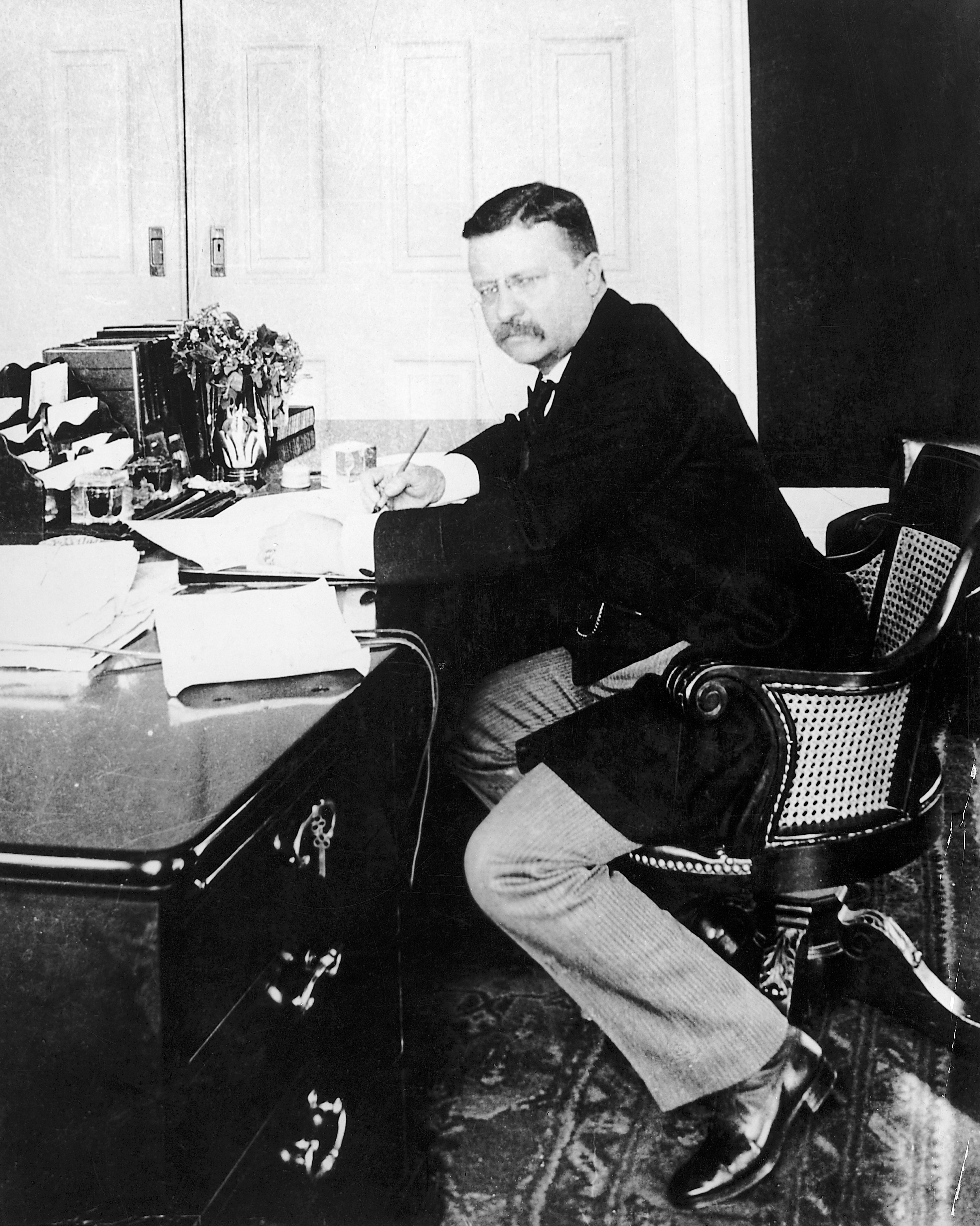Teddy Roosevelt White House 1902