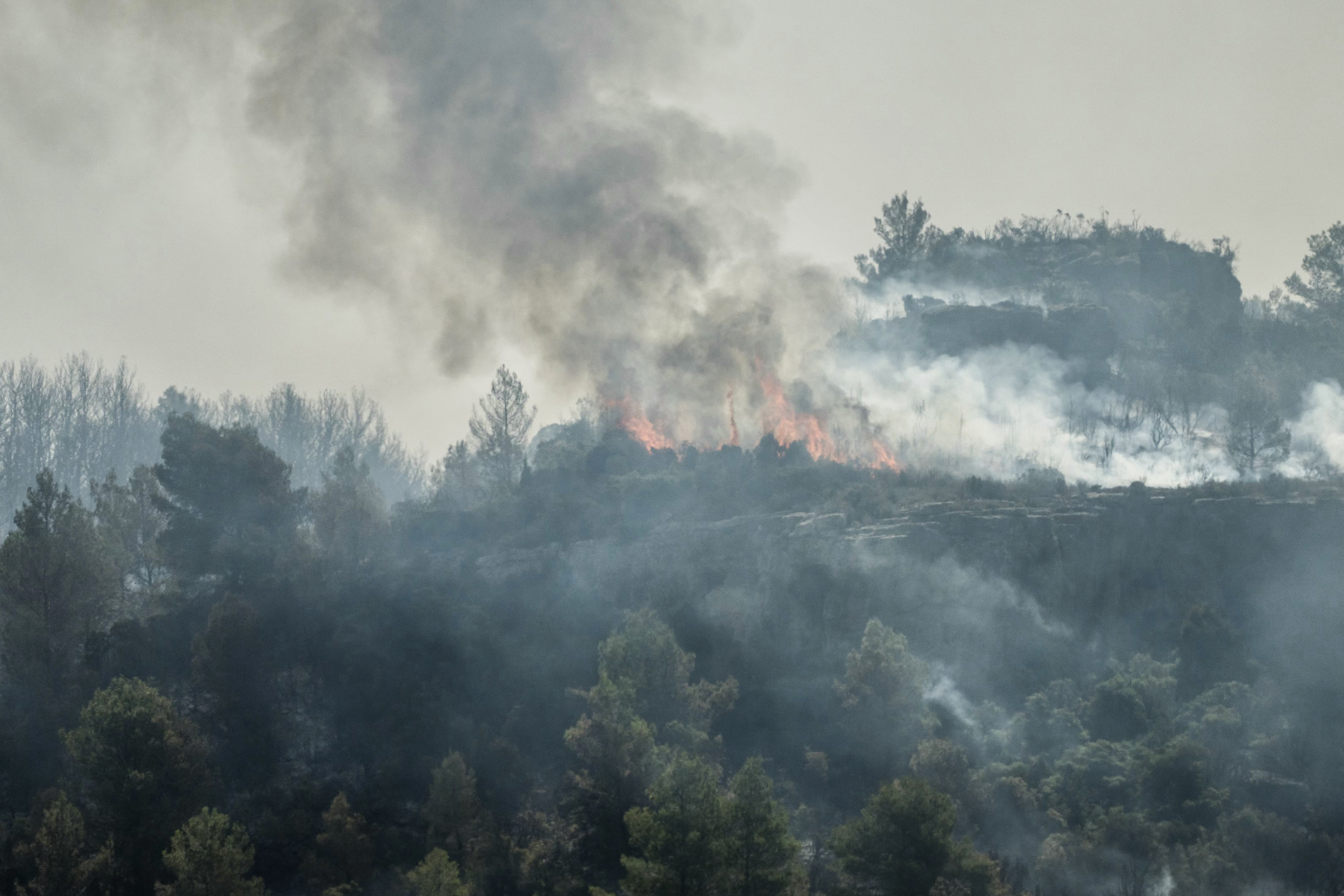 Flames engulf a forested area during a wildfire in Jonquières, southwestern France on August 6, 2025.
