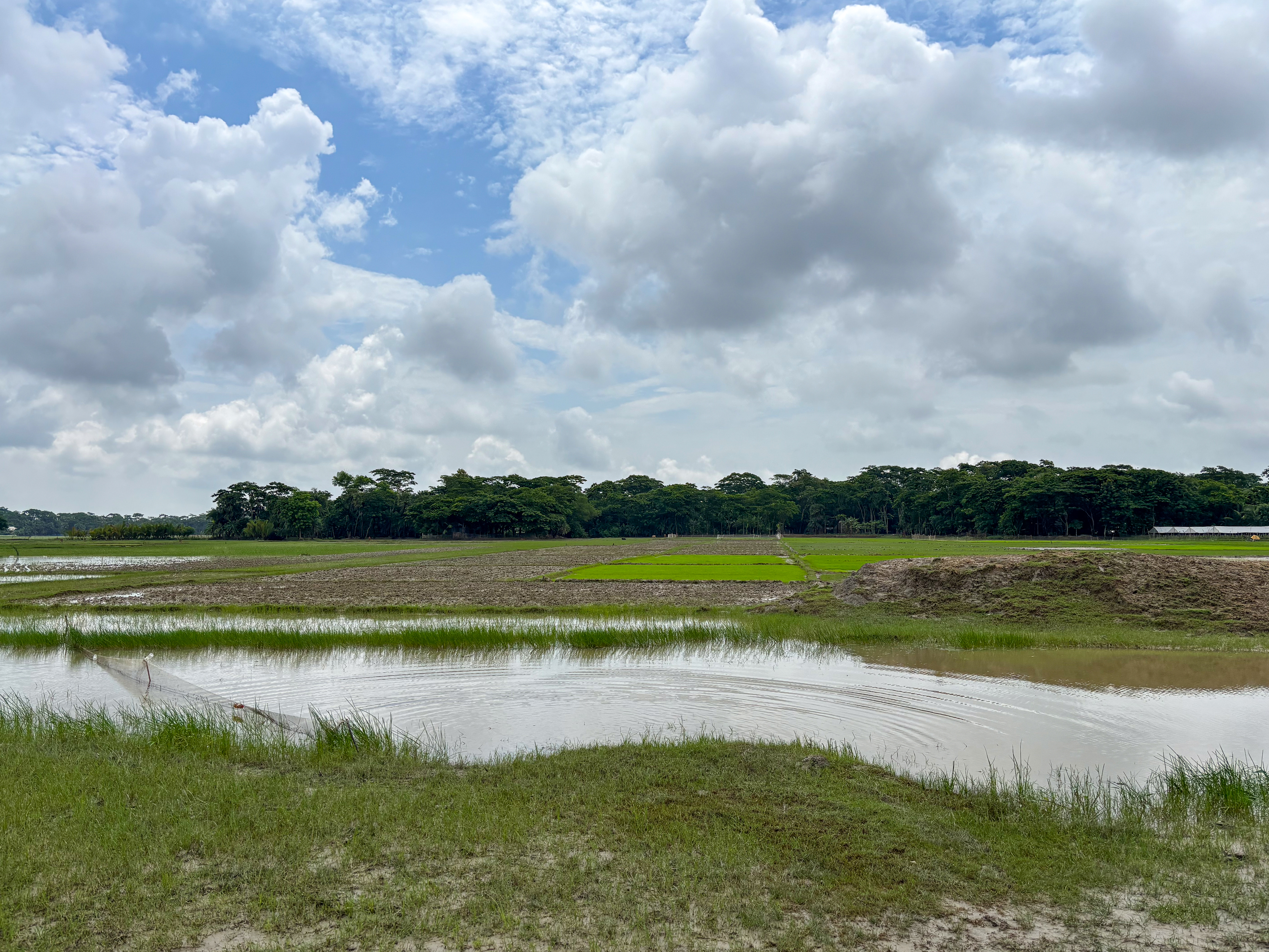 glimpse of sonatala 1-1755518757 