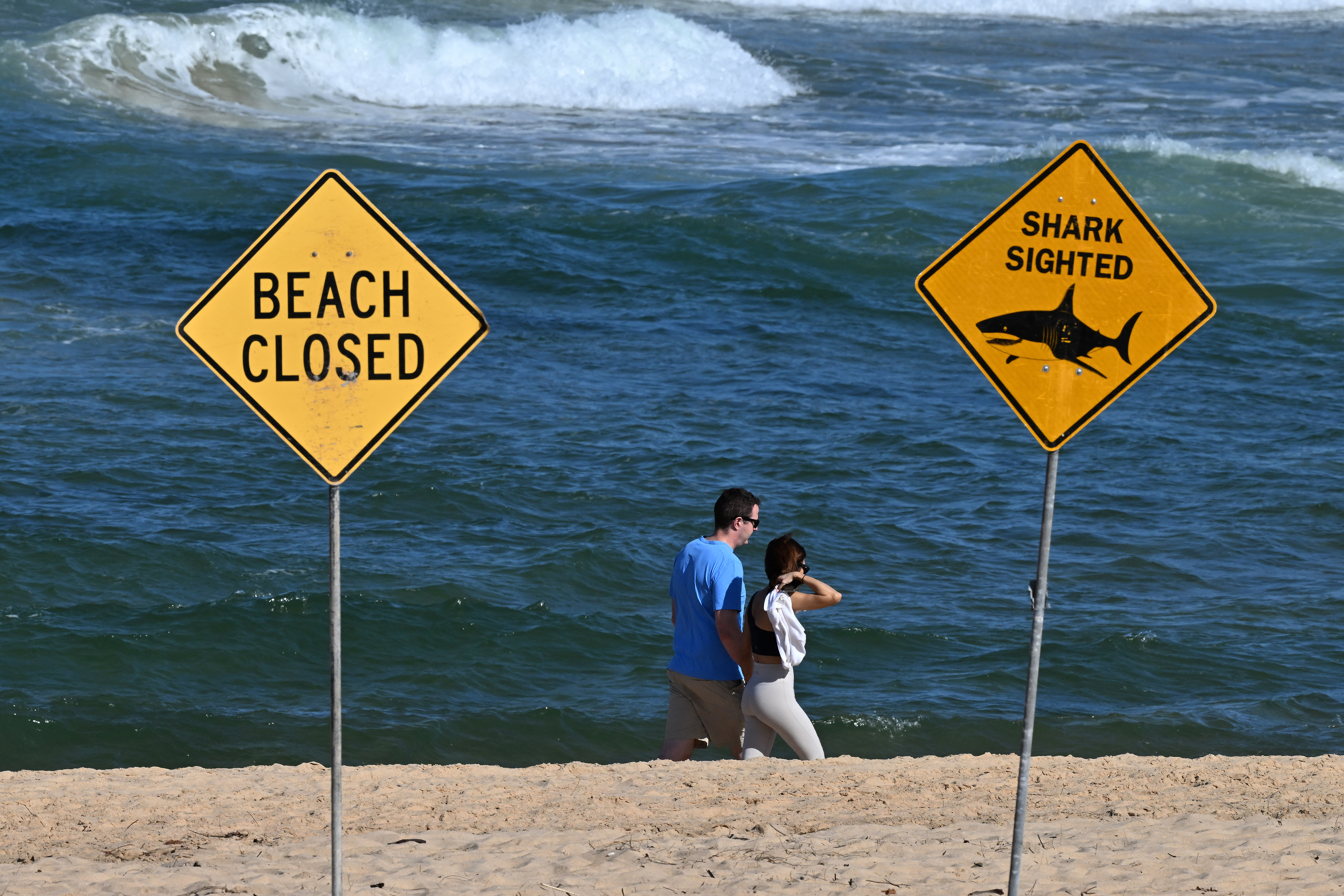 Visitors walk along the shoreline as northern Sydney beaches remain closed following a suspected shark attack at Long Reef Beach on September 6, 2025. A suspected "large shark" mauled a surfer to death in a rare fatal attack off a Sydney beach on September 6, Australian police and rescuers said, leading to a string of beach closures. (Photo by Saeed KHAN / AFP)