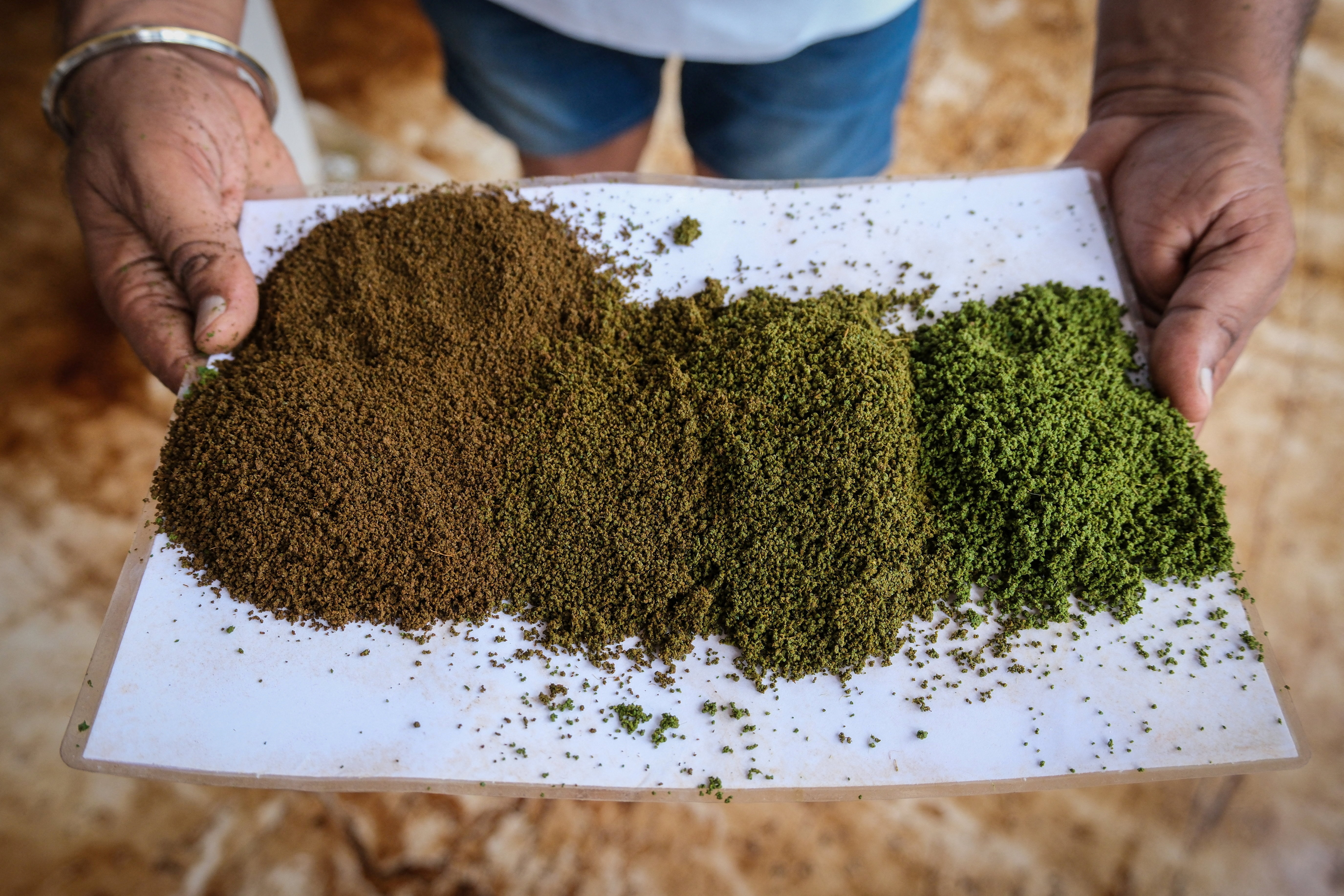 Drier weather threatens India's tea exports, global supply