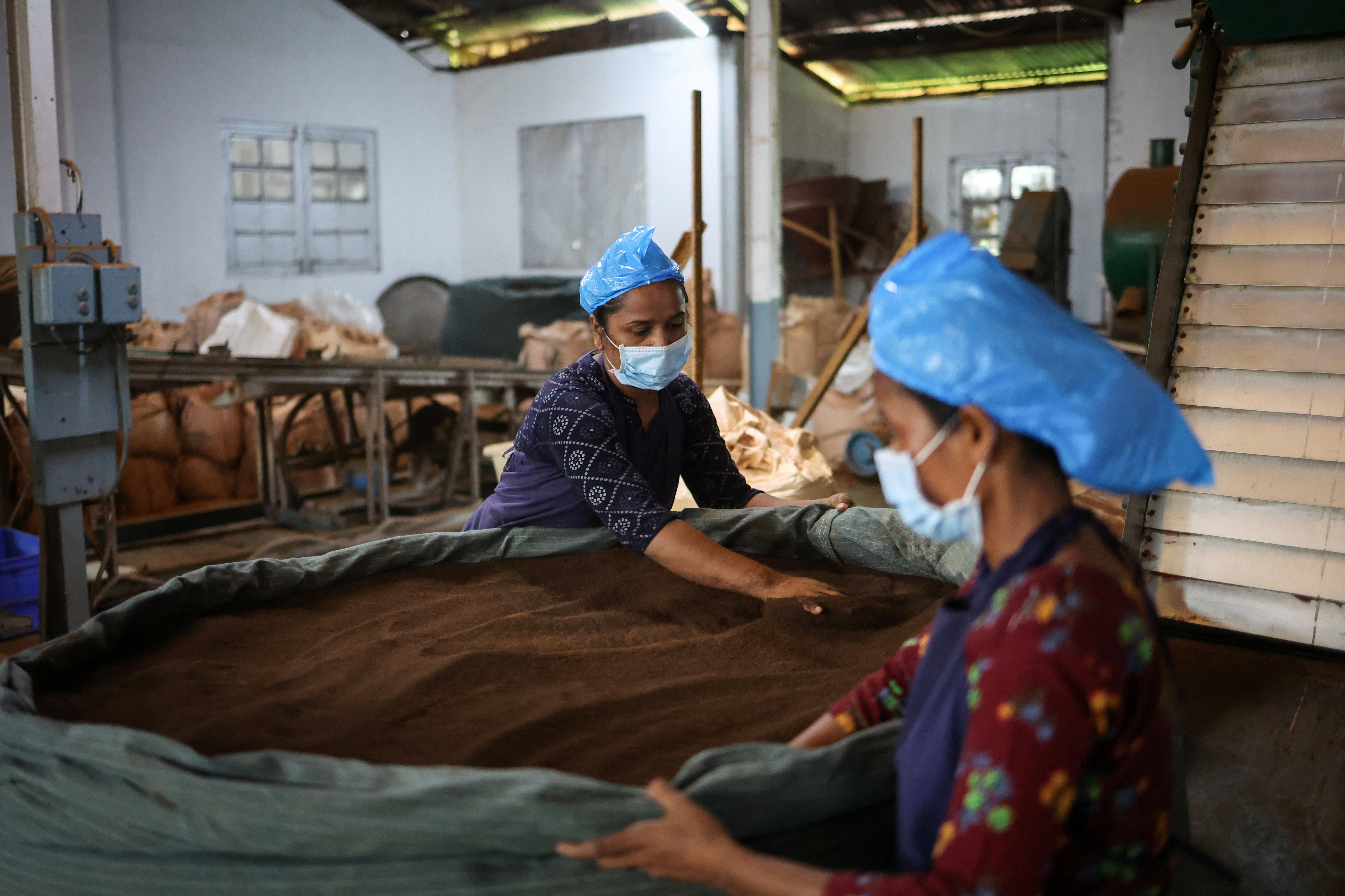 Drier weather threatens India's tea exports, global supply