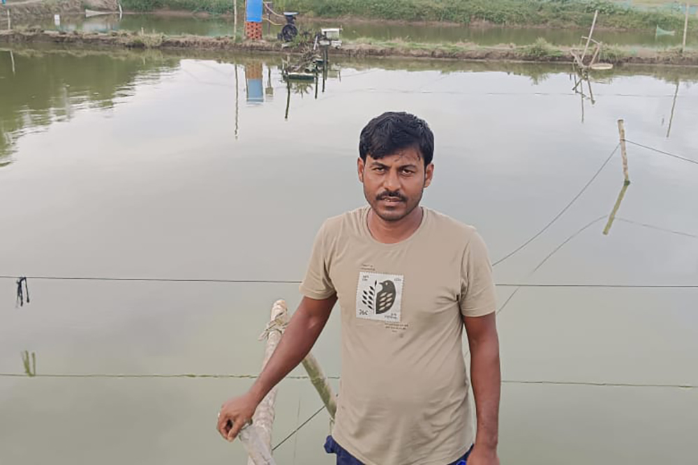 Shrimp farmers India