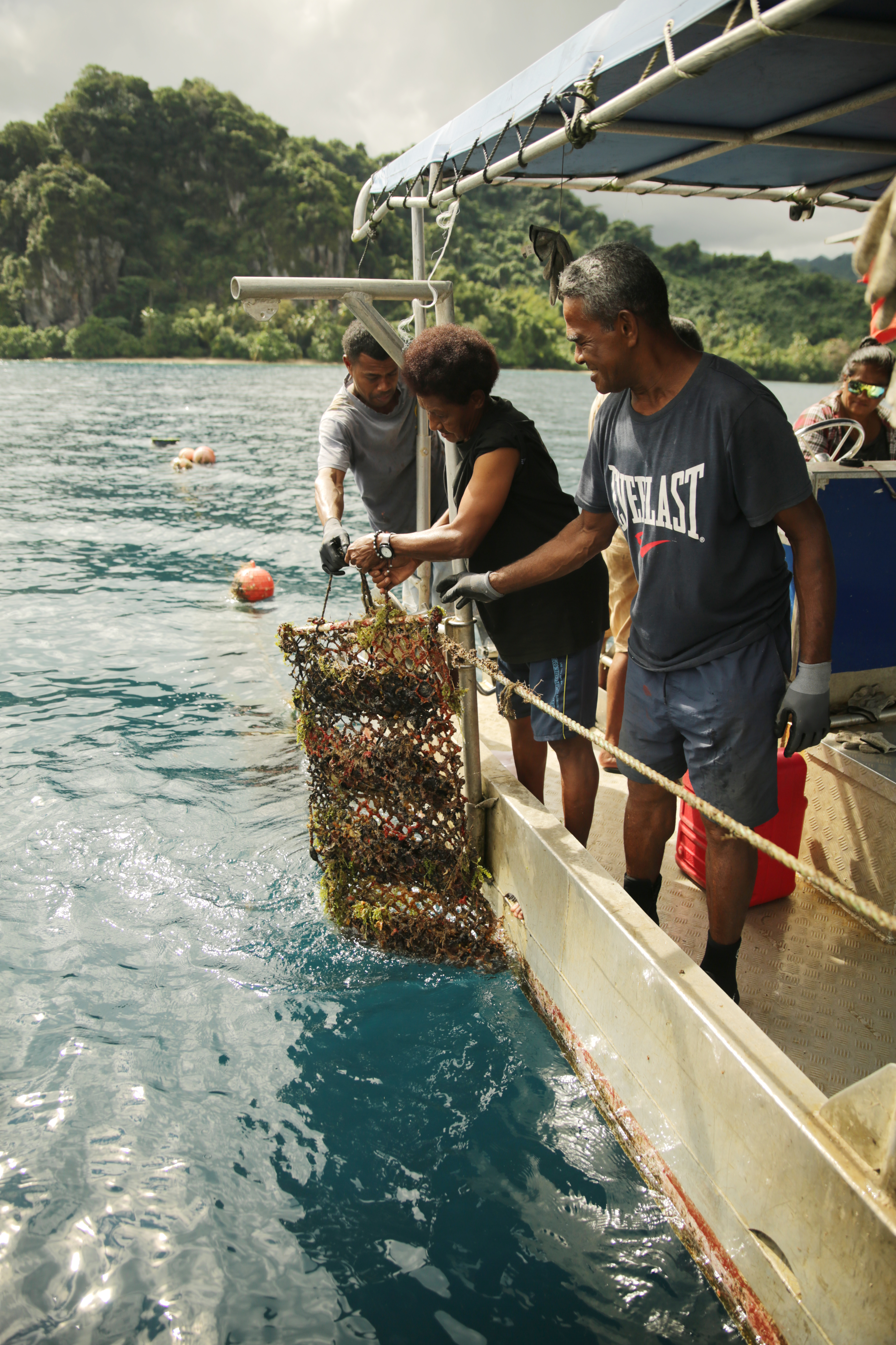 Jelly Ravea guides the men in selecting oysters for pearl cultivation vs. farming.