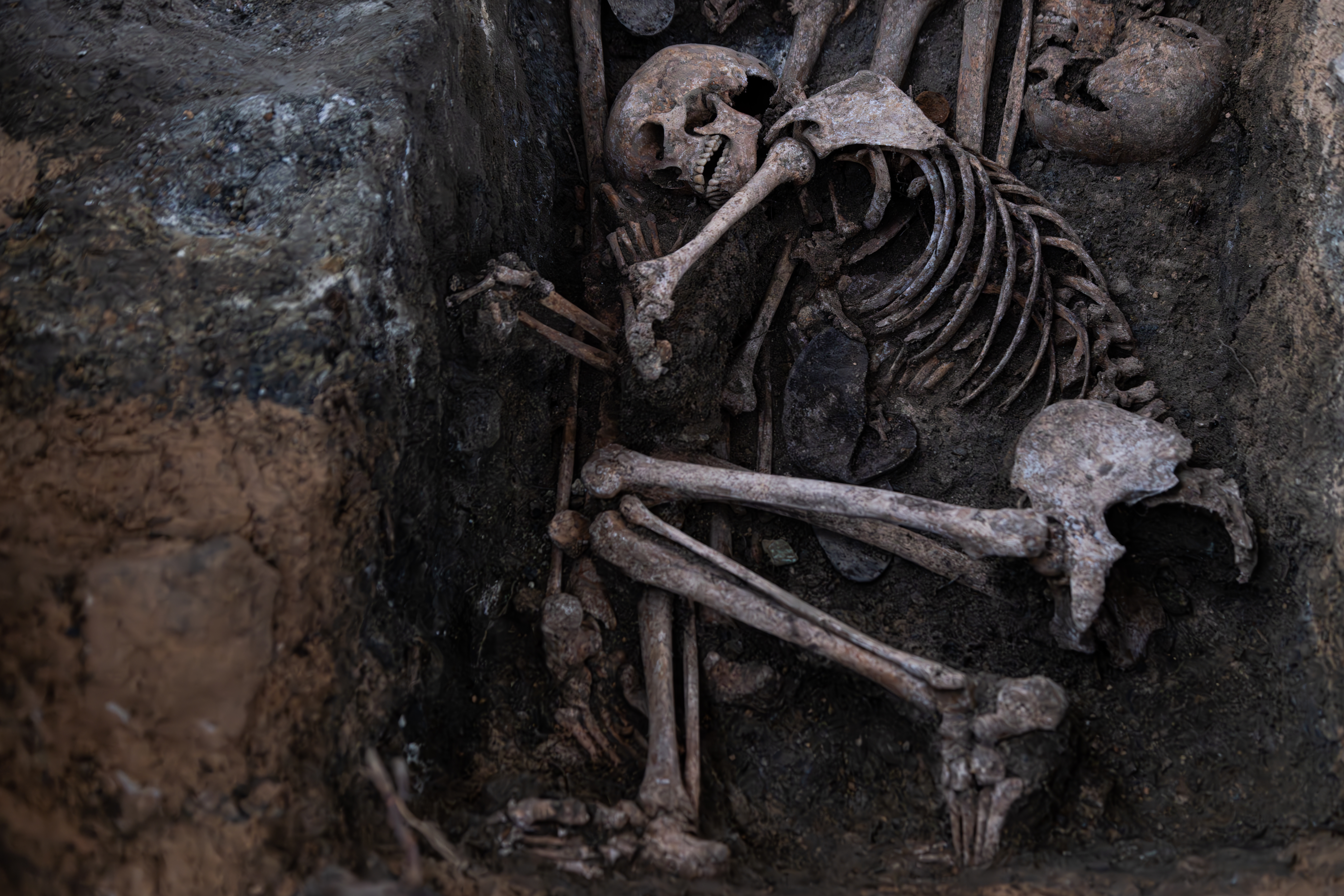 Restos de víctima 8-1763551064