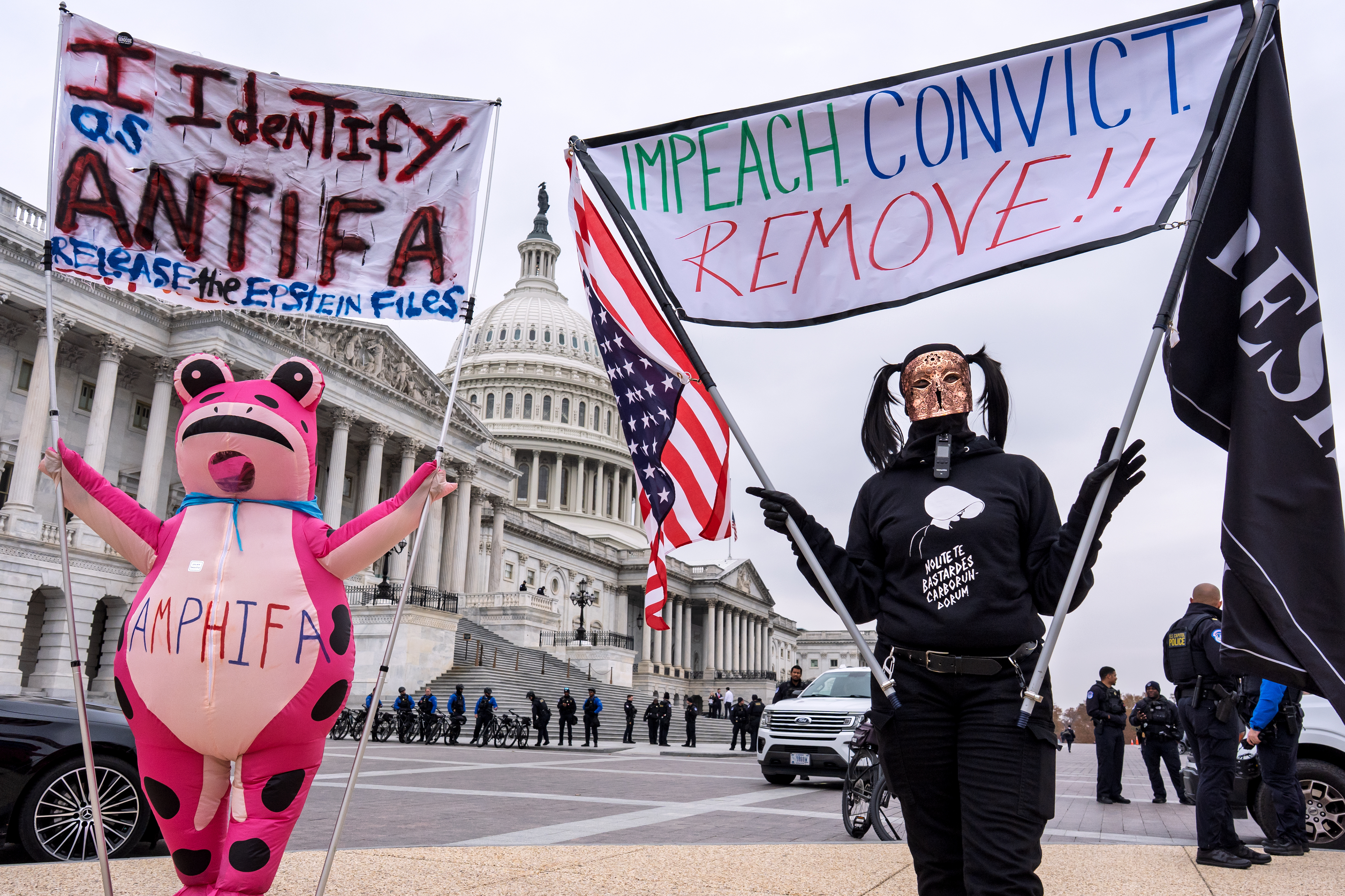 Protesters denounce the policies of Donald Trump while dressed up as inflatable frogs and other animals near the Capitol