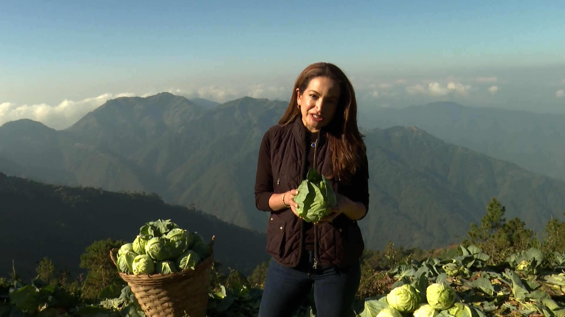 Cabbage farmers in the Philippines are harvesting their crops at a loss as prices plunge and fuel costs soar, amid a national energy emergency linked to the US-Israel war on Iran. [Al Jazeera]