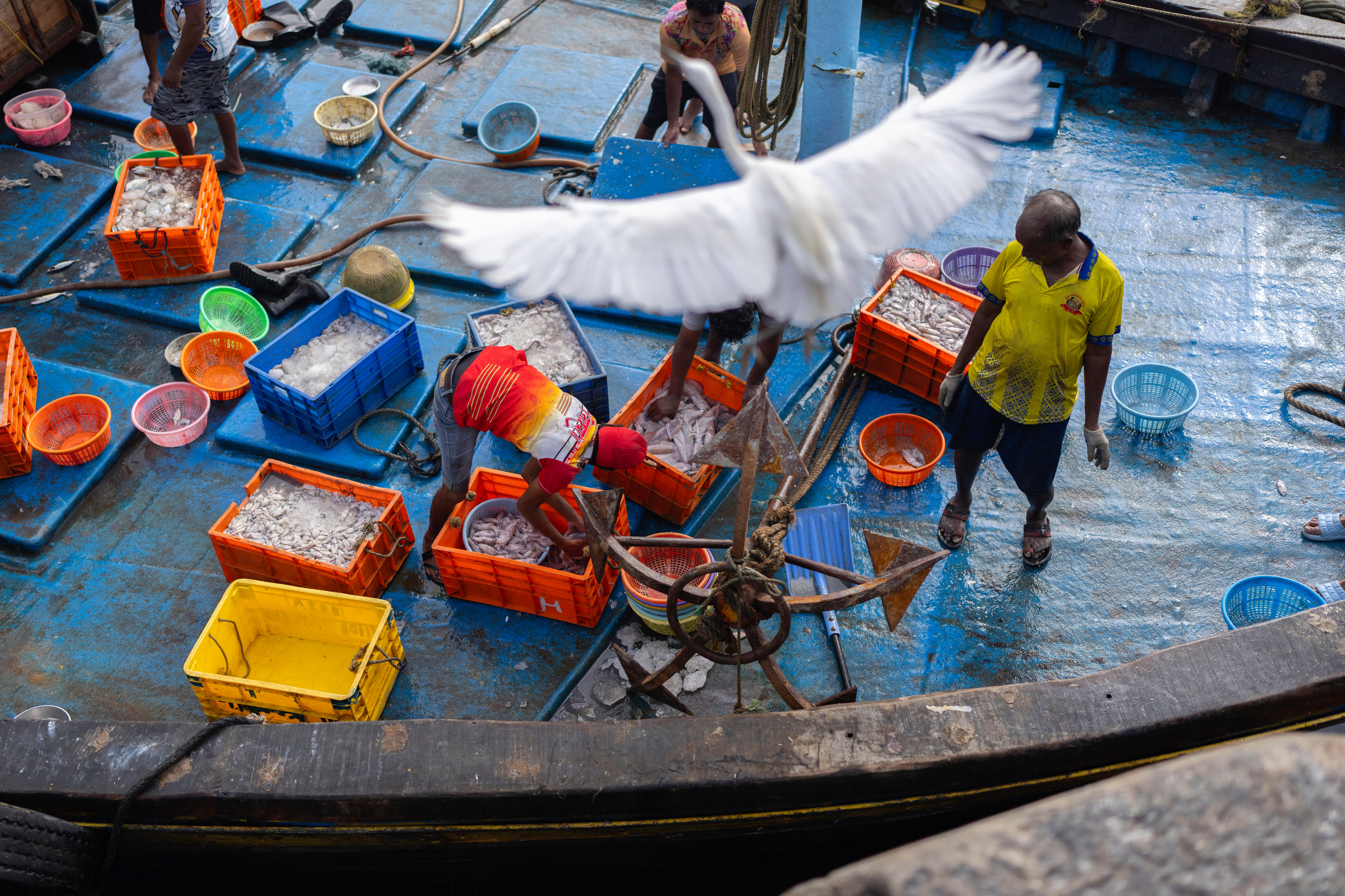 Mumbai's Sassoon Dock quiets as fuel prices choke fishing trade