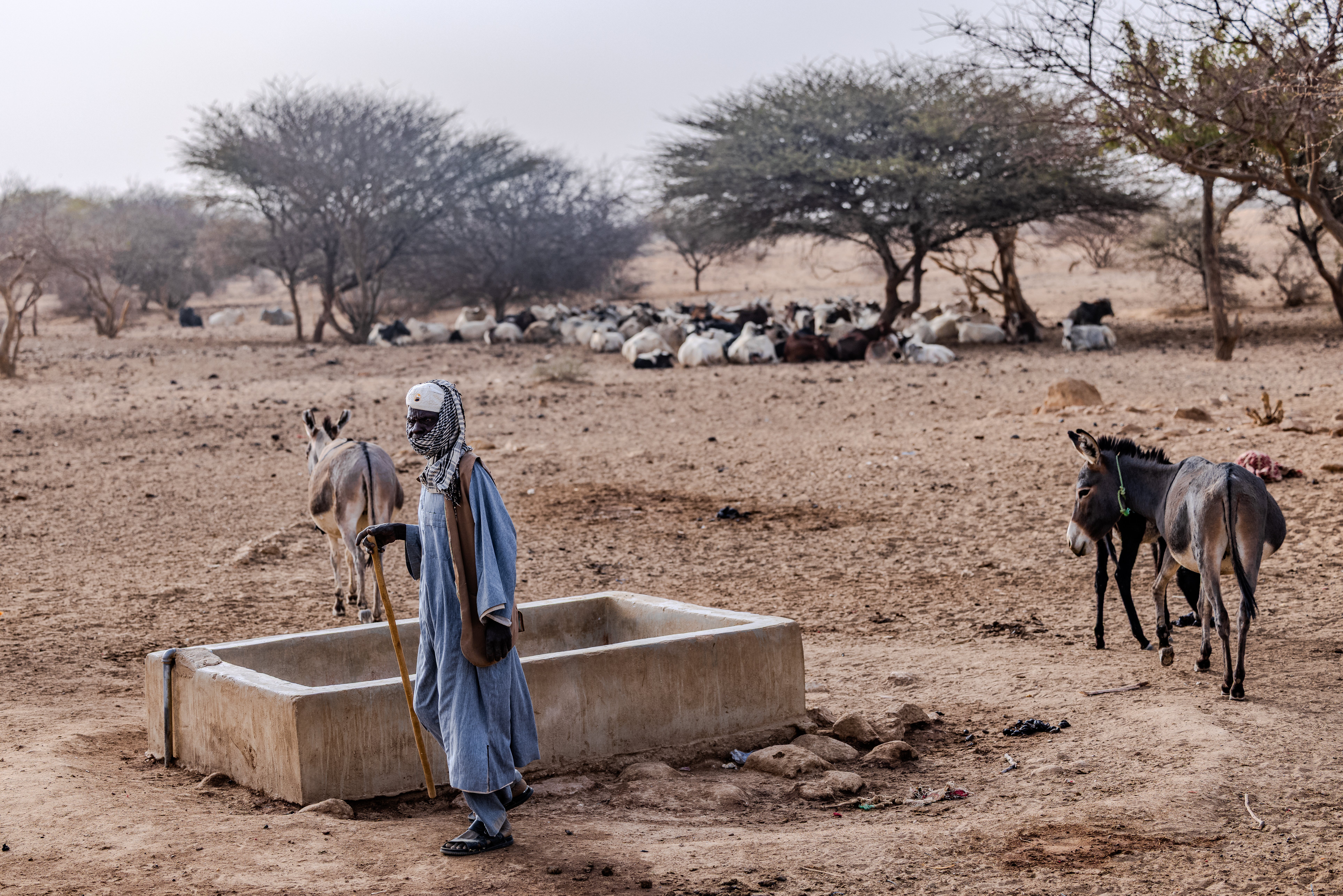 Sudan families endure years of displacement, hunger, and unimaginable loss