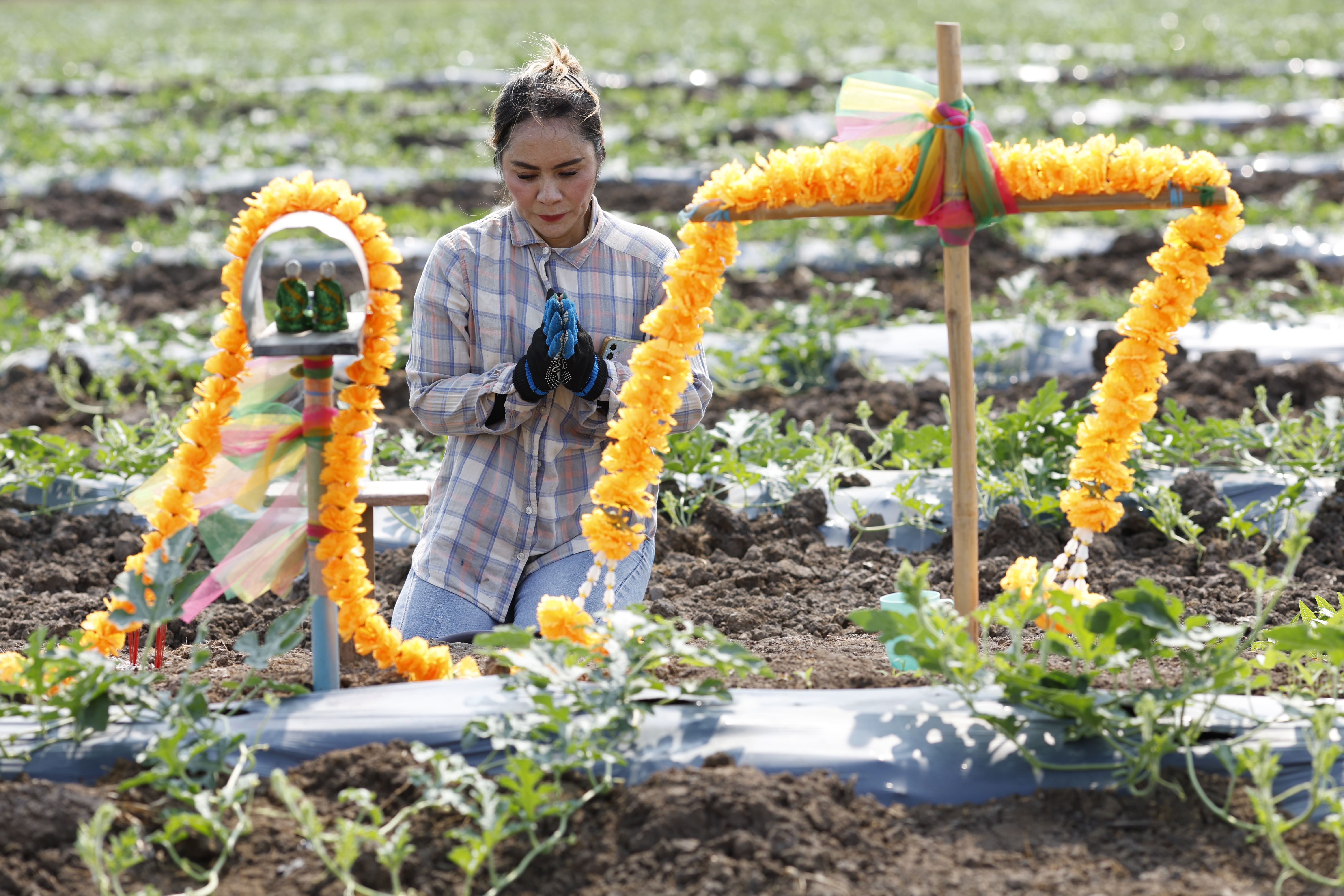 Thai farmer pays respects to deities for high-yield crops in Thailand